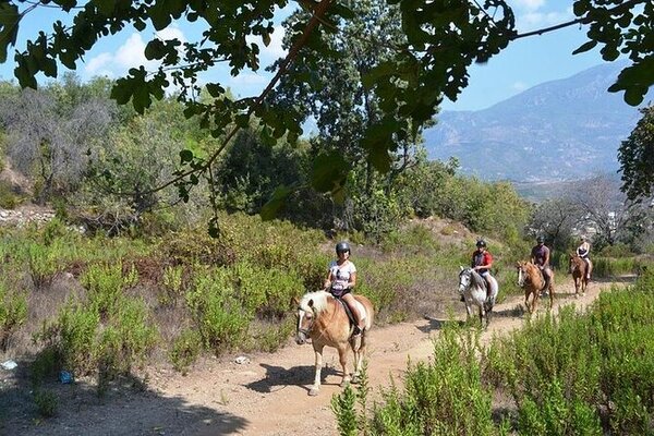 ALANYA HORSEBACK RİDİNG TOUR
