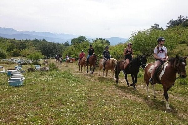 ALANYA HORSEBACK RİDİNG TOUR