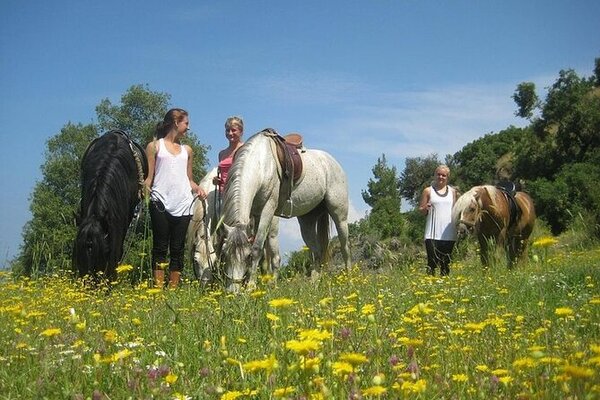 ALANYA HORSEBACK RİDİNG TOUR
