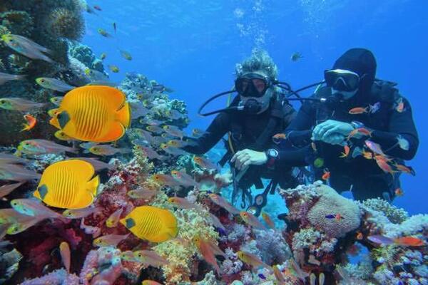 ALANYA SCUBA DİVİNG